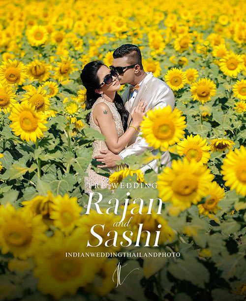 sunflower field pre wedding in thailand cover portrait 1