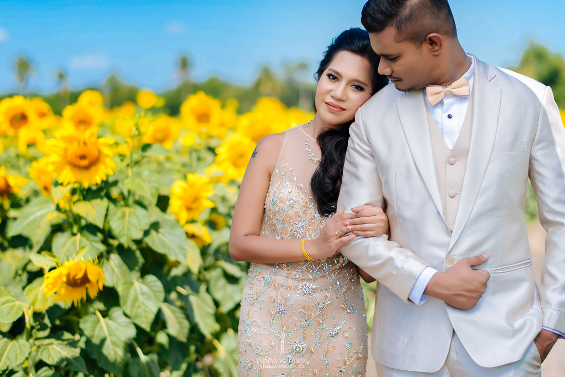 Sunflower Field Pre Wedding in Thailand with Rajan and Sashi